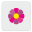 Blume icon