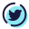 Twitter dentro de um círculo icon