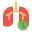 Lungs icon