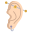 Piercing all&#39;orecchio icon
