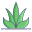 Aloe Vera icon