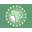 African Union icon