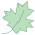 Feuille d'érable icon