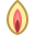 阴道 icon