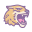 RIT Tiger icon