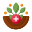 Natural Medicine icon