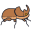 犀牛甲虫 icon