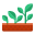 planta en crecimiento icon