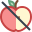 No Apple icon