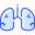 Lungs icon