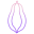 Papaya icon