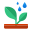 雨の下の植物 icon