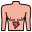 Stomach icon