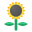 Sunflower icon