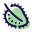 トゲバンレイシ icon