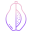 Papaya icon