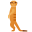 Lunette suricate icon