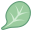 Spinach icon