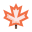 Maple leaf icon