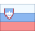 Slovenia icon