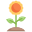 Floral icon