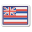 하와이 국기 icon