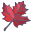 Maple icon