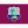 Westindische-Cricket-Board-Flagge icon