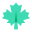 Maple Leaf icon