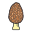 cogumelo morel icon