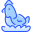 Pollo icon