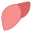 Liver icon