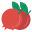 Pomegranate icon