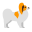 Papillon Dog icon