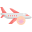 Flugzeug icon