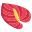 Anthurium icon