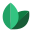 Naturkost icon