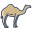 Camelo icon