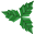 Mint Leaf icon