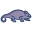 Chameleon icon