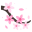 Blossom icon