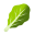 Листовая зелень icon