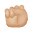 Raised Fist Medium Light Skin Tone icon