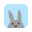 Study Bunny icon