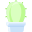 Cactus icon