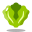 Lettuce icon