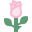 장미 꽃 icon