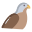 Falcon icon