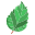 foglie-di-ibisco-esterno-icongeek26-piatto-icongeek26 icon