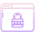 Website Lock icon